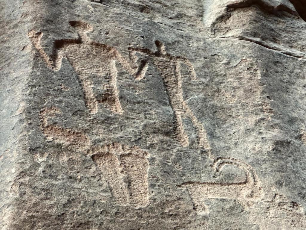 Bedouin Tours Camp Hotel Wadi Rum Exterior foto